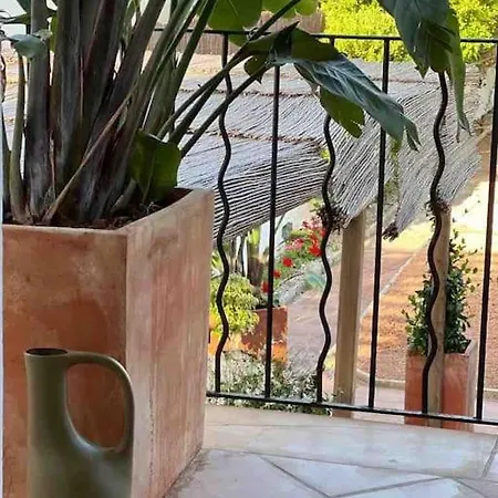 Didi House - Charming In Downtown