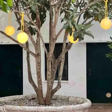 Didi House - Charming In Downtown Mahón