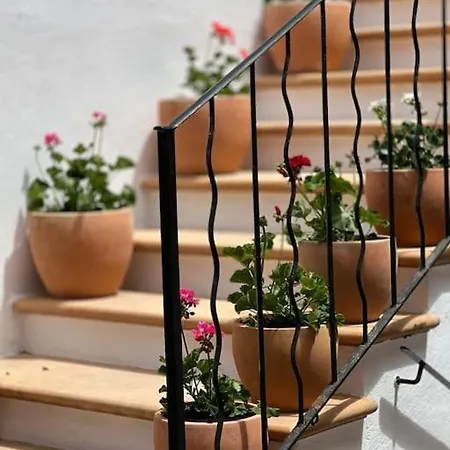 Didi House - Charming In Downtown *